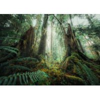 RAVENSBURGER Puzzle V lese 1000 dielikov