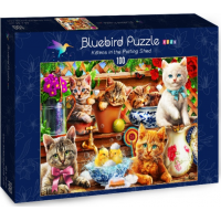 BLUEBIRD Puzzle Mačiatka v záhradnej búde 100 dielikov
