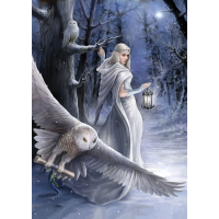 ART PUZZLE Puzzle Kolekcia Anne Stokes: Polnočný posol 1000 dielikov