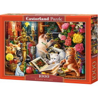 CASTORLAND Puzzle Mačiatka kúzelníci 1000 dielikov
