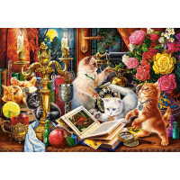 CASTORLAND Puzzle Mačiatka kúzelníci 1000 dielikov