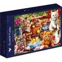 BLUEBIRD Puzzle Mačiatka v kôlni 3000 dielikov