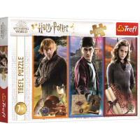 TREFL Puzzle Harry Potter: Vo svete mágie a kúziel 200 dielikov