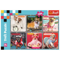 TREFL Puzzle Veselí psíkovia 200 dielikov