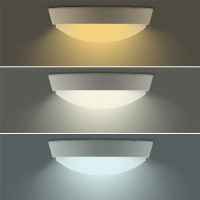 LED vonkajšie osvetlenie s nastaviteľnou CCT, 12W, 900lm, 22cm, 2v1 - biely a čierny kryt