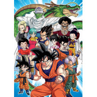 EDUCA Puzzle Dragon Ball Z 1000 dielikov
