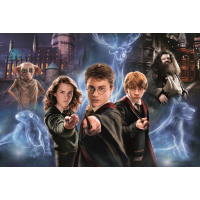 TREFL Puzzle Super Shape XL Čarovný svet Harryho Pottera 160 dielikov
