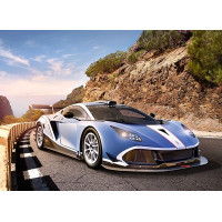 CASTORLAND Puzzle Arrinera Hussarya GT 300 dielikov