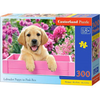CASTORLAND Puzzle Labrador v ružovom boxe 300 dielikov