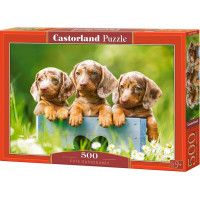 CASTORLAND Puzzle Roztomilí jazvečíci 500 dielikov