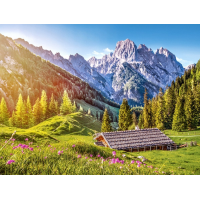 CASTORLAND Puzzle Leto v Alpách 500 dielikov