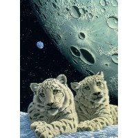 GRAFIKA Puzzle Brloh snežných leopardov 1000 dielikov