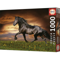 EDUCA Puzzle Klusajúci kôň 1000 dielikov