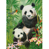 CASTORLAND Puzzle Pandí brunch 1000 dielikov