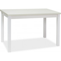 Jedálenský stôl ANYA 100x60 - biely