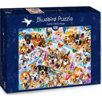 BLUEBIRD Puzzle Koláž zvieracích selfie 1000 dielikov