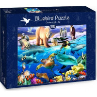 BLUEBIRD Puzzle Oceán života 1000 dielikov