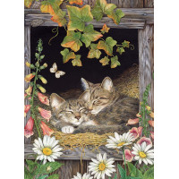 COBBLE HILL Puzzle Sestry 500 dielikov