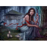 GRAFIKA Puzzle Neviditeľná noc 3000 dielikov