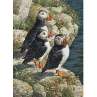 COBBLE HILL Puzzle Papuchalkové 500 dielikov