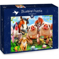 BLUEBIRD Puzzle Roztomilé domáce zvieratá 500 dielikov
