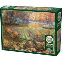 COBBLE HILL Puzzle Vysnívaný jesenný deň 1000 dielikov