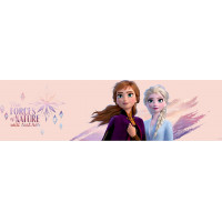 Detská samolepiaca bordúra DISNEY FROZEN 2 "The forces of nature" - 14x500 cm