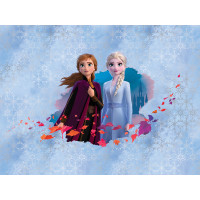 Detská fototapeta DISNEY - FROZEN - Elsa a Anna spolu - 360x270 cm