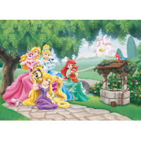 Detská fototapeta DISNEY - Princezné so svojimi miláčikmi - 155x110 cm