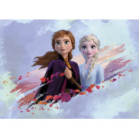 Detská fototapeta DISNEY - FROZEN - Elsa a Anna spolu - 155x110 cm