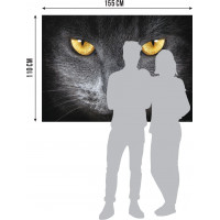 Moderné fototapety - Mačacie oči - 155x110 cm