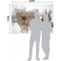 Moderné fototapety - Kvety sakury - 155x110 cm