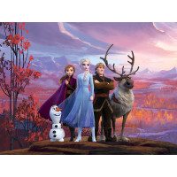 Detská fototapeta DISNEY - Ľadové kráľovstvo - Hrdinovia Frozen 2 - 360x270 cm