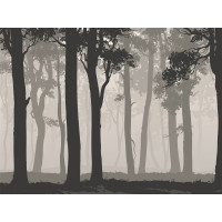 Moderné fototapety - Tajomný les - 360x270 cm