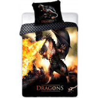 Bavlnené obliečky YOUTH Dragons - 160x200 cm