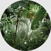 Moderné fototapety - Tropické rastliny - guľatá - 70 cm