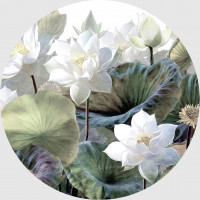 Moderné fototapety - Biele lotosy - guľatá - 70 cm