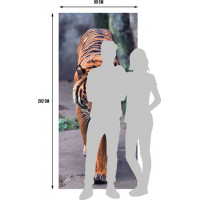 Moderné fototapety - Tiger - 90x202 cm