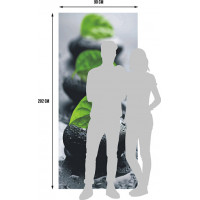 Moderné fototapety - Listy na kameňoch - 90x202 cm