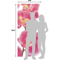 Moderné fototapety - Ružové orchidey - 90x202 cm