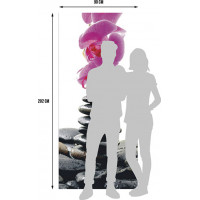 Moderné fototapety - Orchidea a kamene - 90x202 cm