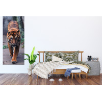Moderné fototapety - Tiger - 90x202 cm