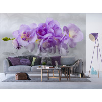 Moderné fototapety - Nežná orchidea - 360x270 cm