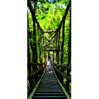 Moderné fototapety - Visutý most 2 - 90x202 cm