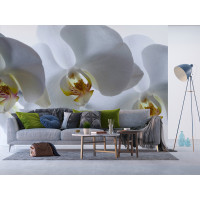 Moderné fototapety - Biela orchidea - 360x270 cm