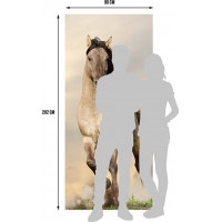 Moderné fototapety - Cválajúci kôň - 90x202 cm