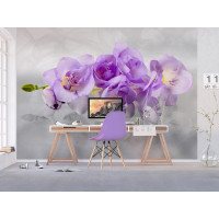 Moderné fototapety - Nežná orchidea - 360x270 cm