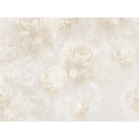 Moderné fototapety - Elegantné kvetinové pozadie - 360x270 cm