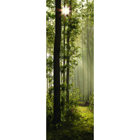 Moderné fototapety - Magický les - 90x270 cm