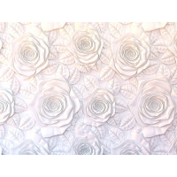 Moderné fototapety - Sadrový basreliéf ruže - 360x270 cm